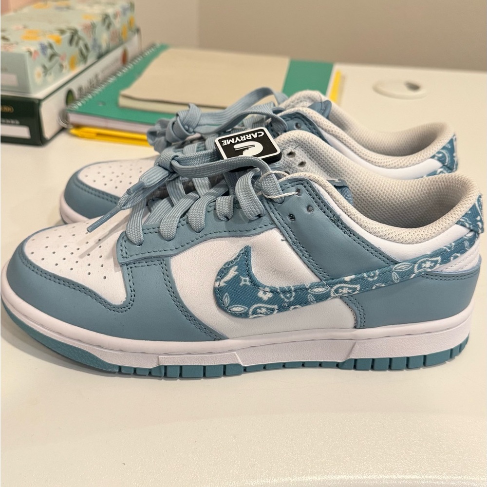 NEW Nike Women's Dunks